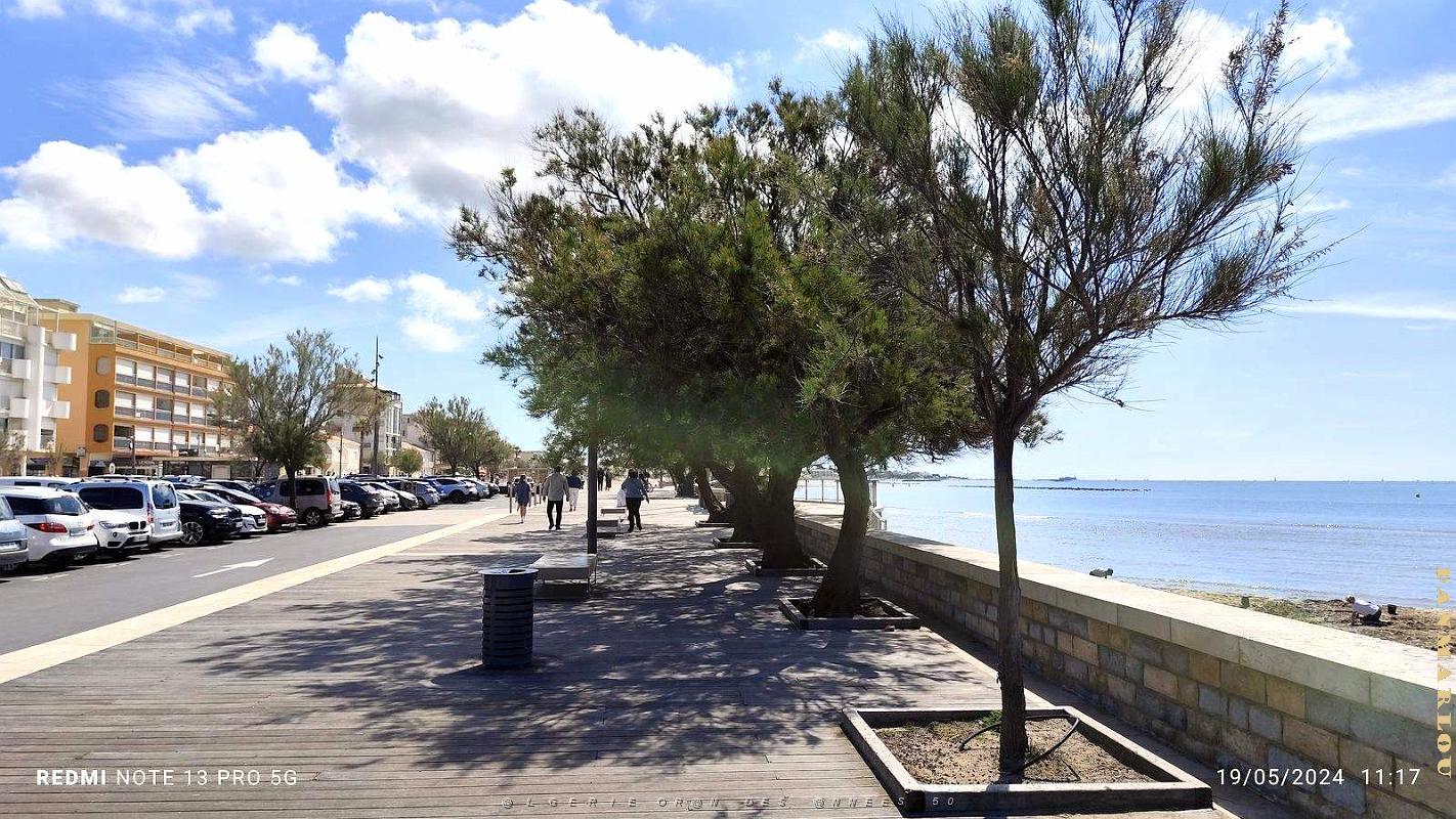 LE GRAU D'AGDE - Marche - Quai - Plage (64).jpg